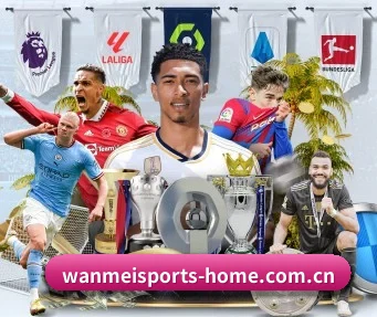 完美体育官方 APP | WANMEISPORTS