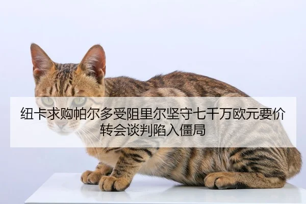 纽卡求购帕尔多受阻里尔坚守七千万欧元要价转会谈判陷入僵局（WANMEISPORTS）